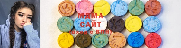 ГАЛЛЮЦИНОГЕННЫЕ ГРИБЫ Ельня