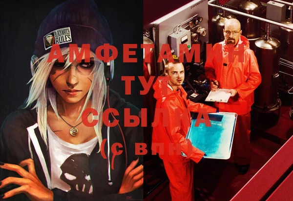 ГАЛЛЮЦИНОГЕННЫЕ ГРИБЫ Ельня