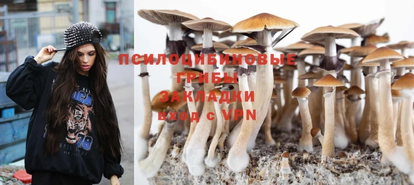 МДМА Заводоуковск