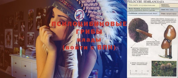 твердый Елизово