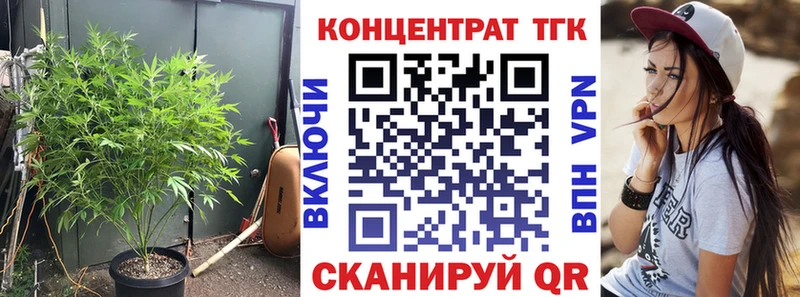 сколько стоит  Злынка  ТГК концентрат 