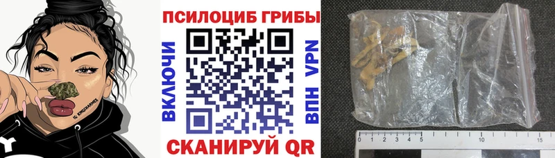Галлюциногенные грибы мицелий  хочу наркоту  ОМГ ОМГ как войти  Злынка 