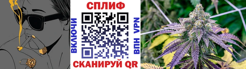 Марихуана SATIVA & INDICA Злынка