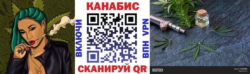 Бошки марихуана Amnesia  где купить наркоту  Злынка 